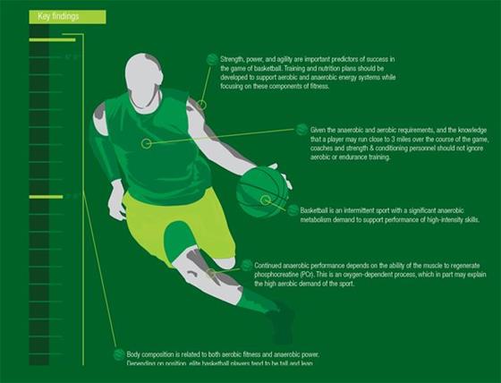 Physiologic Profile of Basketball Athletes